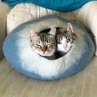 Walking Palm Cat Cave Pet Bed