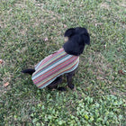 Dog Poncho - Bohemian Multicolor
