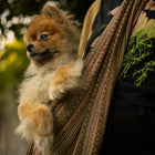 Dog Sling Carrier - Moab Woven