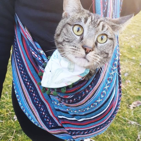 Dog Sling Carrier - Beach House Woven