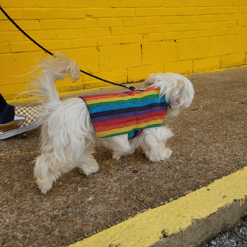 Dog Poncho - Rainbow