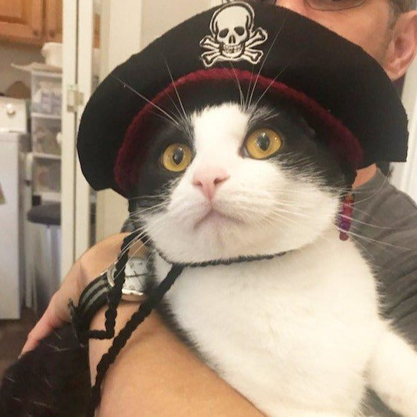 Pirate Hat for Cats and Dogs