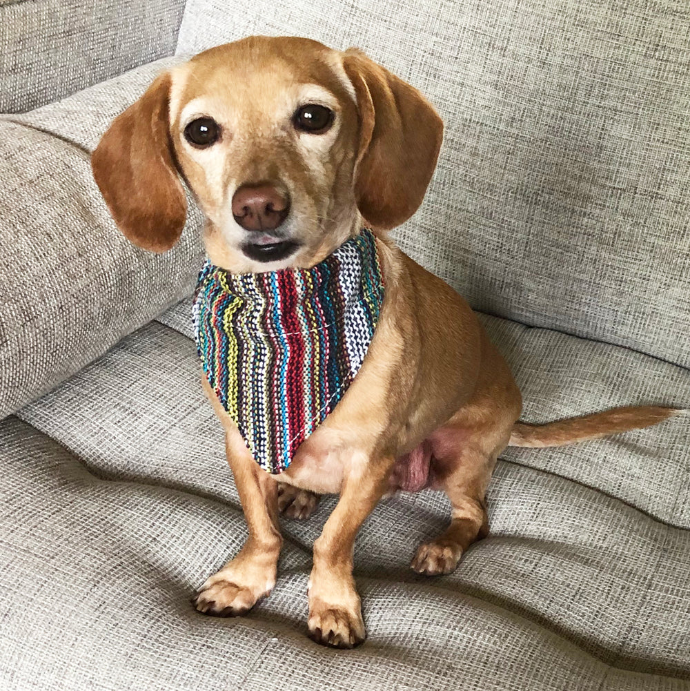 Solid color dog bandanas cheap