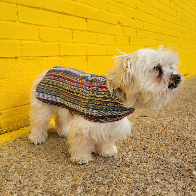 Dog Poncho - Bohemian Multicolor